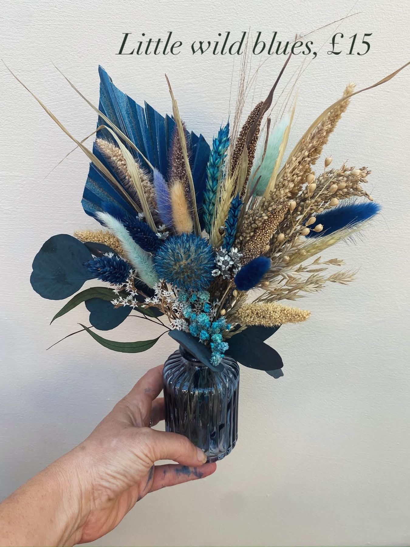 Little wild blues