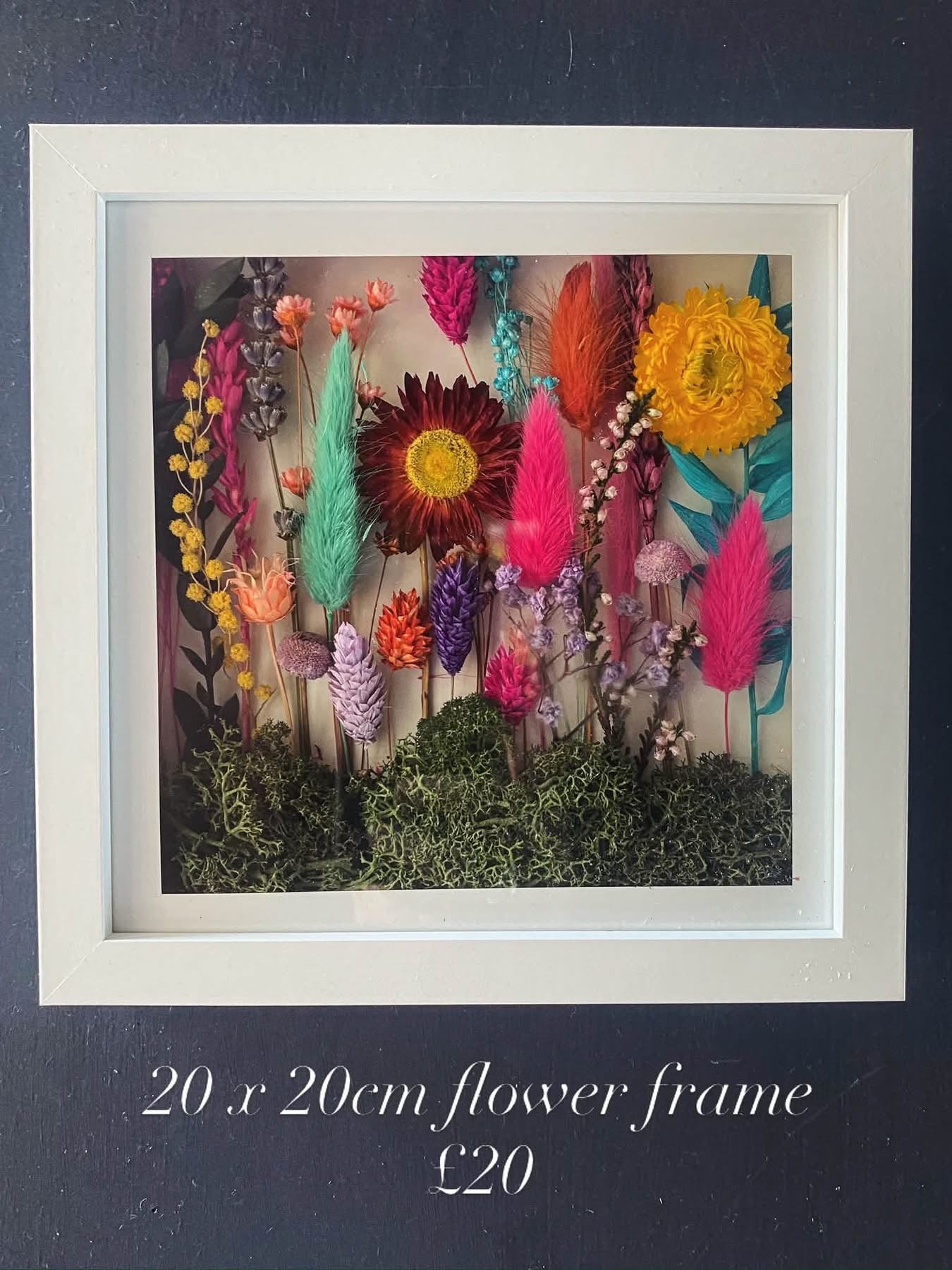 Rainbow brights flower frame